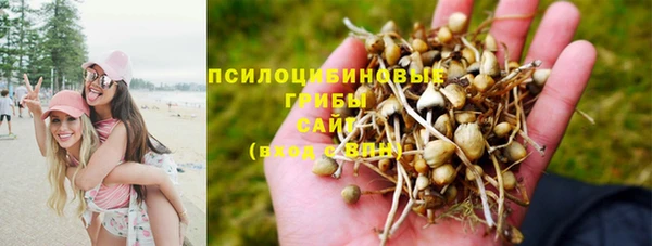 бошки Киров